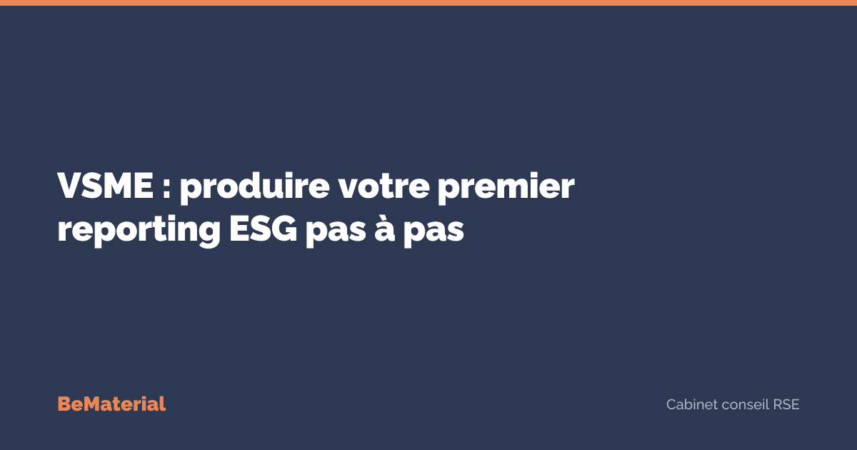 VSME : comment produire votre premier reporting ESG (guide étape par ...